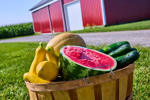 stock image A vibrant basket of fresh summer produce with halved watermelon, squash, and cantaloupe sits in front of a rustic red barn in Fort Wayne, Indiana, highlighting farm-to-table freshness and rural charm.