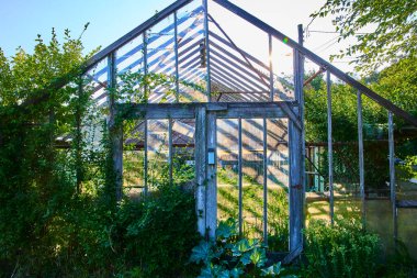 Fort Wayne, Indiana 'daki köy serası yumuşak ışıkla yıkandı. Yaşlanmış ahşap çerçeve ve açık cam paneller aşırı gelişmiş bitkilerle tezat oluşturarak çürüme ve yenilenme nostaljik bir ortam yaratıyor. İdeal