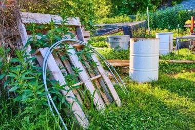 Fort Wayne, Indiana 'da kırsal bir arka bahçe sahnesinde yıpranmış ahşap paletler, büyük metal fıçılar ve yemyeşil yeşillikler sergileniyor. Kırsal yaşam, bahçıvanlık ve sürdürülebilir tarım konuları için mükemmel..
