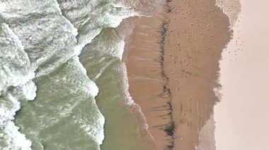 Havadan Yukarıdan Aşağı Atış: Wisconsin 'deki Michigan Gölü' ndeki muhteşem Kenosha Sahili. Dalgalar, kumlu sahille ritmik bir şekilde buluşup doğal desenler yaratıyor. Sayısız kuş, sükunete canlı bir element ekler.
