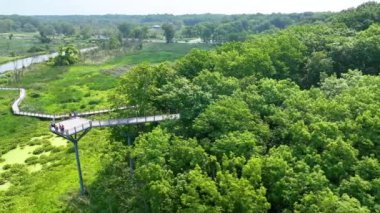 Michigan 'daki Galien River İlçe Parkı' nın hava takibi görüntüleri, yemyeşil bir bataklık, yükseltilmiş bir tahta kaldırım ve açık bir gökyüzü altında panoramik manzaranın keyfini çıkaran bir grup insan sergiliyor. Açık hava için ideal.