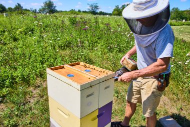 Fort Wayne, Indiana 'da bir arı yetiştiricisi güneşli bir günde renkli bir kovana bakar. Ellerinde bir arı içicisiyle, yemyeşil ve kır çiçekleriyle çevrili gelişmekte olan koloniyi yönetiyorlar..