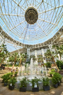 Experience luxury at Gaylord Opryland in Nashville with a breathtaking glass dome atrium, vibrant indoor gardens, and a dynamic water fountain that creates a serene and elegant atmosphere.
