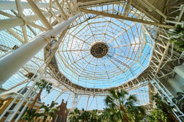 Discover modern elegance under a glass and steel dome at Gaylord Opryland Nashville. Marvel at the lush greenery that seamlessly fuses nature with architectural brilliance in this urban oasis.