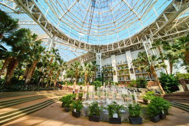 Experience luxury at Gaylord Opryland, Nashville. This tropical atrium features a lush botanical garden and central fountain under a stunning glass ceiling, offering a serene escape in the heart of