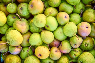 Hoagland, Indiana 'dan taze yeşil armutlar, hafif kusurlar ve canlı renklerle doğal cazibelerini sergiliyorlar. Organik ürünleri, çiftçi pazarlarını ya da sağlıklı beslenmeyi teşvik etmek için mükemmel..