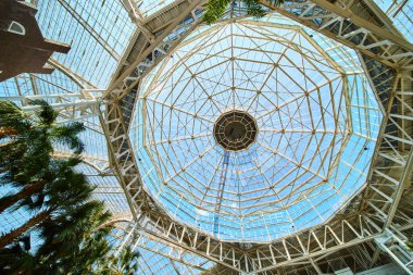 Breathtaking view of the Gaylord Opryland glass dome ceiling in Nashville. This architectural marvel blends nature and modern design with palm trees beneath a sunlit sky, creating a serene escape.
