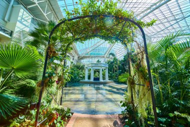 Explore tranquility in Nashville Gaylord Opryland Conservatory, where a white gazebo stands amidst lush tropical plants. Experience natures elegance under a sunlit glass ceiling.