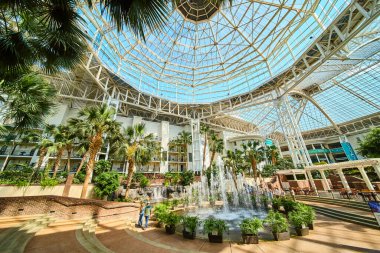 Experience tranquility at Gaylord Opryland in Nashville. This stunning atrium blends modern architecture with lush tropical plants and a calming fountain under a grand glass ceiling.
