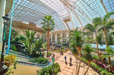 Experience luxury at Gaylord Opryland in Nashville with its stunning indoor botanical garden. Stroll among tropical plants under a glass atrium that fills the space with natural light and tranquility.