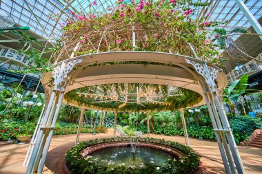 Escape to tranquility in Gaylord Opryland indoor garden in Nashville. Delight in a white metal gazebo adorned with lush vines and pink flowers, surrounded by tropical plants and a gentle fountain. clipart