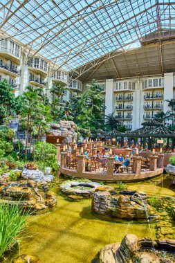 Experience the stunning indoor atrium at Gaylord Opryland in Nashville, Tennessee. Enjoy lush greenery and tranquil water features under a glass ceiling for a unique dining experience.