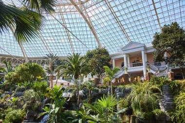 Discover tranquility in the lush indoor gardens of Gaylord Opryland, Nashville. Soak in the serene tropical oasis beneath a grand glass atrium, perfect for a luxurious escape or elegant event.