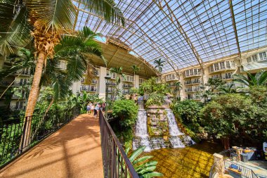 Immersive indoor oasis at Gaylord Opryland Nashville. Experience luxury with tropical plants, a cascading waterfall, and serene glass atrium. Perfect for relaxation and nature-inspired escapes.