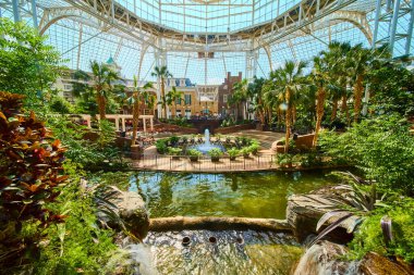 Discover tranquility in the lush atrium of Gaylord Opryland. Surrounded by vibrant plants and a serene fountain, this tropical oasis invites relaxation under a grand glass ceiling. clipart