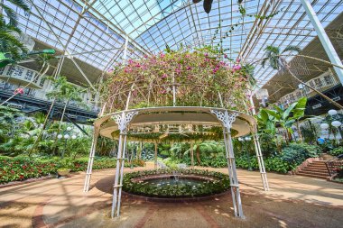 Immerse yourself in the lush beauty of Gaylord Opryland indoor garden in Nashville. A white metal structure with climbing plants and pink blooms surrounds a serene pond under a grand glass ceiling.