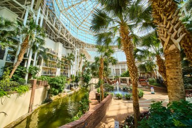 Lush indoor atrium with towering palm trees and a tranquil waterway at Gaylord Opryland Nashville. Sunlight streams through a glass ceiling creating a tropical oasis of relaxation and luxury.