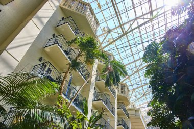 Experience tranquility at Gaylord Opryland stunning indoor atrium in Nashville. Sunlit balconies and lush tropical plants create a luxurious escape, blending nature with architectural elegance.