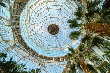Gaze up at the stunning glass dome of Gaylord Opryland in Nashville. Lush palm trees meet intricate architecture, creating a serene urban oasis that blends nature with modern design.