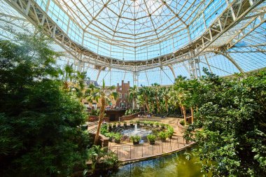 Explore the serene Gaylord Opryland indoor garden in Nashville. This glass atrium offers lush tropical plants and tranquility, merging nature with urban life for a perfect retreat.