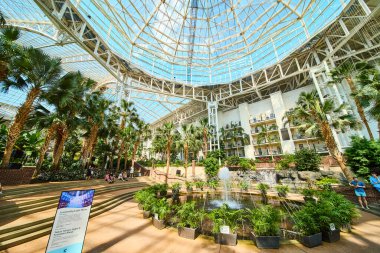 Experience the serene beauty of Gaylord Opryland indoor garden in Nashville. Bask in natural light under a grand glass ceiling amidst lush greenery and soothing fountains. Perfect for relaxation and