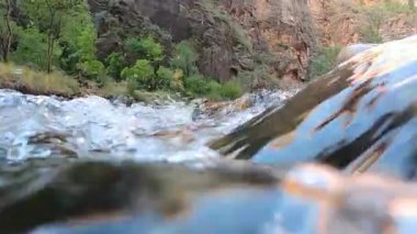 Yaya Atışı: Zion Ulusal Parkı 'ndaki Narrows' un dingin güzelliğini tecrübe edin. Akan nehre, yemyeşil yeşilliğe ve Utahların kalbindeki altın saat boyunca yükselen kayalıklara hayran kaldım.