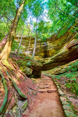 Hocking Hills Ohio 'daki bir orman patikasının huzur veren güzelliğini keşfedin. Güneşli yollar yemyeşil ve yüksek ağaçların arasından esiyor. Bu doğal harikalar diyarında macera ve sükuneti davet ediyor..