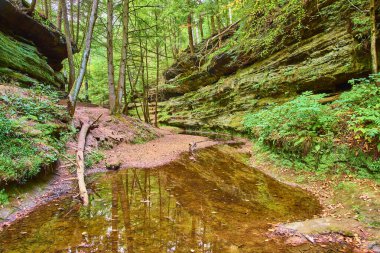 Ohio 'daki Hocking Hills' in huzurlu güzelliğini keşfedin. Sakin bir dere, Eski Mans Mağara Patikası boyunca yemyeşil ve yükselen ağaçları yansıtır. Doğayı yakalamak için mükemmel barışçıl kucaklaşma.