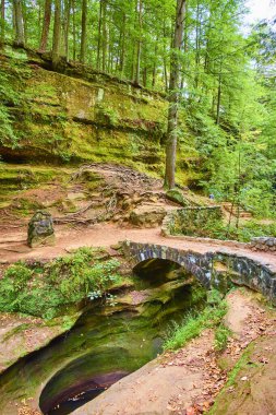 Devils Küvet, Old Mans Mağara Patikası 'nda taştan köprüsü olan sakin bir orman manzarası. Huzuru ve doğayı tecrübe edin. Hocking Hills, Ohio 'da güzellik, barışçıl keşif ve yürüyüş için mükemmel..