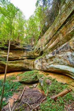 Hocking Hills, Ohio 'daki Cantwell Cliffs' in ebedi güzelliğini keşfedin. Yükselen kaya oluşumları ve yemyeşil yeşillikleriyle sakin bir orman sahnesi sonbaharda dokunulmamış doğanın ihtişamını yakalar..