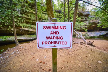 Hocking Hills Ohio 'nun Eski Mans Mağara Yolu' ndaki dingin güzelliğini keşfedin. Yüzme yasağı işareti bu bereketli sonbahar ormanı ortamında güvenliği ve korunmayı sağlar..
