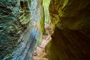 Cantwell Kayalıkları 'nda büyüleyici şişman kadınları keşfedin. Ohio 'daki bu sakin Hocking Hills yolu bereketli ormanlarda ve görkemli kumtaşı oluşumlarında nefes kesici bir yolculuk sunuyor..