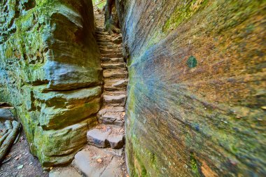 Cantwell Cliffs, Hocking Hills, Ohio 'daki büyüleyici taş merdivenleri keşfedin. Yosun kaplı kayalar ve yemyeşil ormanlar arasında sakin bir yürüyüşe çıkın. Doğa aşıkları ve macera arayanlar için mükemmeldir..