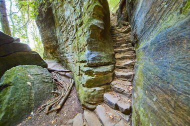 Ohio 'daki Hocking Hills' teki Cantwell Kayalıkları 'ndan esen engebeli taş merdivenler. Sonbahar macerasının özünü yakalayın ve Şişman Kadın 'ın dingin güzelliğini keşfedin. Bu sakin orman cennetinde sıkışın..