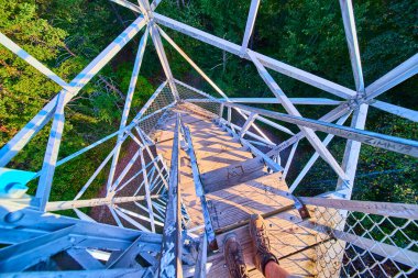Hocking Hills, Ohio 'daki Ash Cave Fire Tower' da maceranın heyecanını yaşayın. Altın saat ormanı sıcağa boğuyor, doğanın güzelliğini keşfetmeye ve takdir etmeye davet ediyor..
