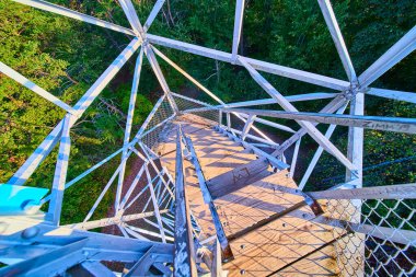Hocking Hills, Ohio 'daki Ash Cave Fire Tower' dan nefes kesici manzarayı keşfedin. Spiral basamaklar ve metal kirişler aşağıdaki bereketli sonbahar ormanını çerçeveliyor. Macera ve doğa meraklıları için mükemmel..