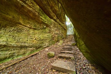 Ohio 'daki Hocking Hills Cantwell Kayalıkları' nın engebeli güzelliğini keşfedin. Şişman kadınların taş basamaklarını aşın. Kaya duvarları ve sonbahar yapraklarının sakin bir yürüyüş macerası yarattığı patikayı sıkın..