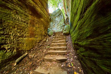 Cantwell Cliffs, Ohio 'daki büyüleyici şişman kadınları keşfedin. Engebeli taş basamaklar, yosun dolu geçitlere yürüyüşçüleri çağırır Hocking Hills 'in canlı renkleri arasında maceraya davet eder..