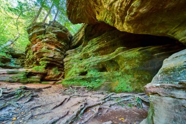 Hocking Hills, Ohio 'daki Rock House' un engebeli güzelliğini keşfedin. Bu yosun kaplı kaya oluşumu, sakin bir ormanla çevrili ve yumuşak gün ışığında yıkanmış doğal bir direnci simgeler..