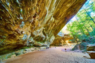 Hocking Hills, Ohio 'daki Ash Cave Trail' in görkemli kaya oluşumlarını araştırın. Güneş ışığı ağaçların arasında dans eder. Doğayı aydınlatır. İhtişamlı ve canlı renkler arasında sakin bir maceraya davetiye çıkarır.