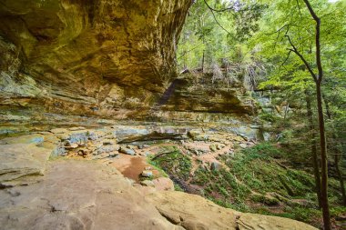 Hocking Hills Ohio 'daki görkemli Cantwell uçurumlarını keşfedin. Bu dingin orman düzeni antik kaya oluşumlarını barındırıyor. Yeşillik ve benekli güneş ışığı bir sonraki maceranız için mükemmel..