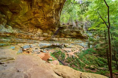 Discover the majestic Cantwell Cliffs in Hocking Hills Ohio. This serene forest setting features ancient rock formations lush greenery and dappled sunlight perfect for your next adventure. clipart