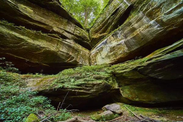 Hocking Hills, Ohio 'daki büyüleyici Cantwell uçurumlarını keşfedin. Bu orman kanyonu yosunlu kayalara ve sakin bir atmosfere sahiptir. Macera ve doğa meraklıları için mükemmeldir..