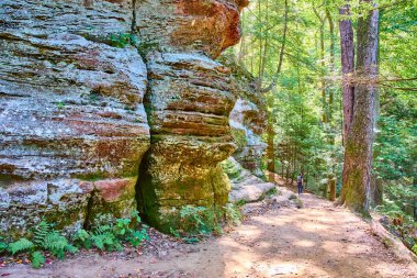 Ohio 'daki Hocking Hills' in güzelliğini keşfedin. Gün ışığı yemyeşil orman gölgesinde dans ediyor. Büyüleyici Kaya Evi 'nin yanında doğa meraklıları ve maceracılar için mükemmel manzaralı patikalar boyunca yürüyüş..