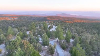 Havadan Uç: Nevada, Charleston Dağı üzerinde sakin gündoğumunu tecrübe edin. Bereketli yeşil ormanlar ve dolambaçlı yollar doğada huzur ve macera dolu görkemli bir manzara yaratır..