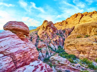 Red Rock Kanyonu 'ndaki altın saat Nevada' daki Mountain Springs 'in canlı kumtaşı uçurumlarını vurguluyor. Açık mavi gökyüzü altında çarpıcı bir jeoloji ve macera manzarası. Doğanın şaheserlerini keşfedin..