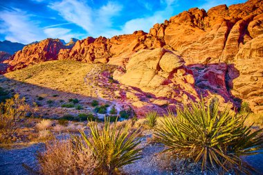 Nevada 'daki Red Rock Kanyonu' nun huzur dolu güzelliğine dalın. Canlı kırmızı kumtaşı uçurumlarına, çöl bitkilerine ve Mojave Çölü 'nün özünü yansıtan dingin gökyüzüne hayran kaldım..