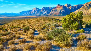 Altın saat, Nevada 'da Red Rock Kanyonu' nu sıcak bir ışıltıyla yıkıyor. Hava manzarası engebeli dağları ve çöl bitkilerini gözler önüne seriyor. Amerika 'nın güneybatı manzarasının muazzam güzelliğini ve dinginliğini yakalıyor..