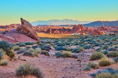 Altın saat Moapa Vadisi, Nevada 'da pürüzlü kaya oluşumlarını ve bereketli çöl çalılarını aydınlatırken, Ateş Vadisi' nin canlı renklerinin tadını çıkarın..