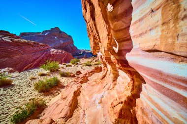 Nevada Ateş Vadisi 'ndeki Moapa Vadisi' nin çarpıcı kızıl kaya oluşumlarını araştırın. Gök mavisi ve dayanıklı çöl bitkileri nefes kesici bir manzara yaratır. Macera ve korkuyu davet eder..